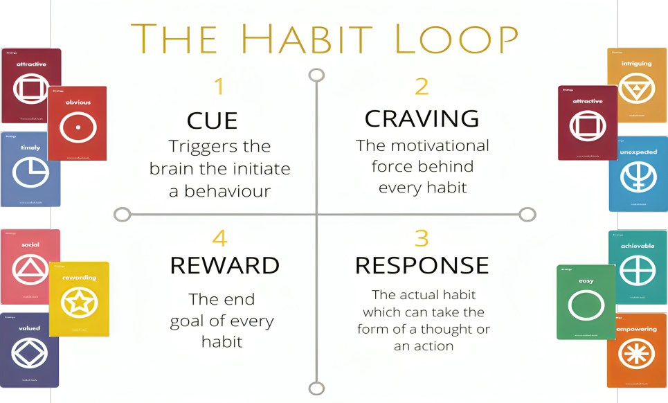 The Science of Habit Formation: Want to Know How Habits Stick?