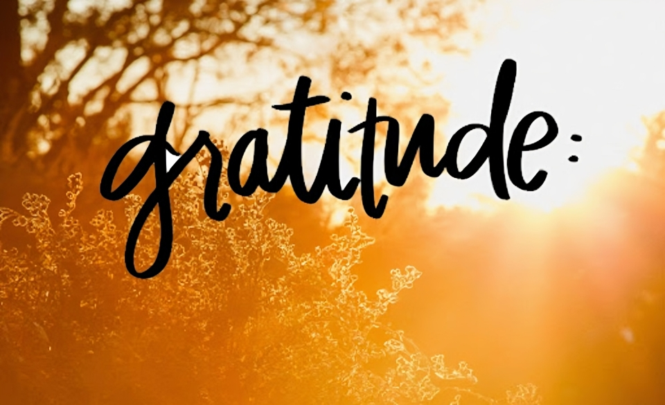 Ways to Express Gratitude and Build Strong Connections with People and Life