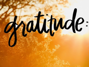 Ways to Express Gratitude and Build Strong Connections with People and Life